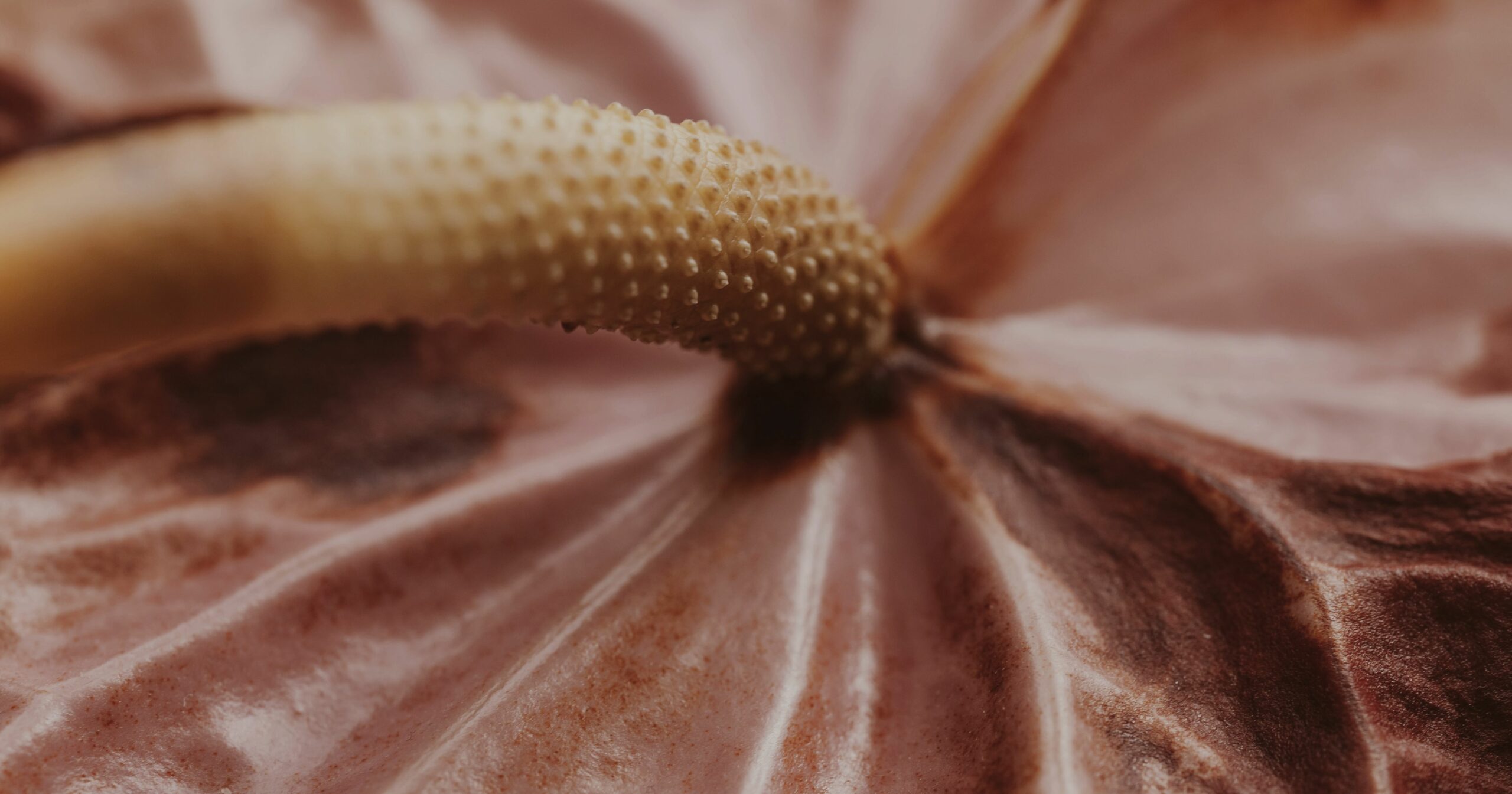 La communication sexuelle dans le couple : 4 erreurs fréquentes